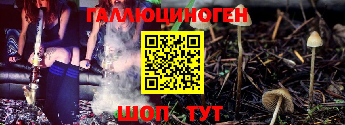 Галлюциногенные грибы ЛСД Хасавюрт